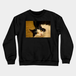 Hissy Miss Fliss Crewneck Sweatshirt